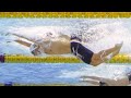[Kristof Milak] World Record 1:50.34 (Men 200m Butterfly Final 2022)