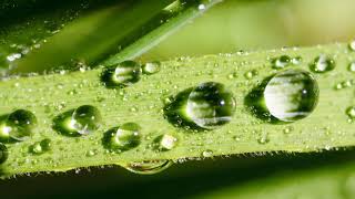 القرآن الكريم كامل للشيخ عبد الهادي كناكري الجزء 1 Holy Quran Full abdulhadi kanakeri HD