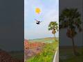 Bus vala kis ko bula rha hai 👀😂🕊️ #pigeon #publicreaction #reaction #reactionvideo #shorts #runts