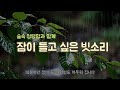 불면증의 기운을 싹 지워버릴 숲 속 잠 오는 빗소리 | RAIN ASMR