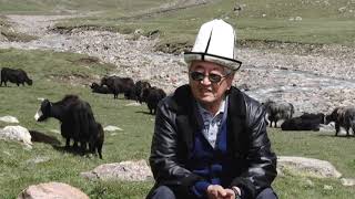 видео: ТОПОЗДОР БАЯНЫ картинка: ТОПОЗДОР БАЯНЫ