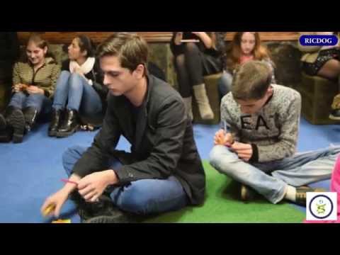 I ფაზის შეჯამება