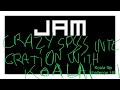 Crazy SP555 integration with Koala Sampler IOS (koala flip challenge 160)