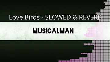 Love Birds - SLOWED & REVERB | JAZ DHAMI | JOYTICA TANGRI | MXRCI | VISUALIZATION VIDEO |