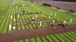 British Carrot Growers Association Demonstration Day 2023 – Thursday 5th October 2023