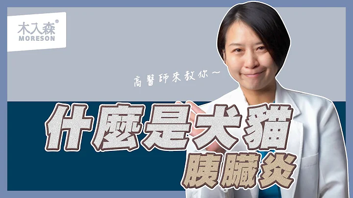 你听过犬猫胰脏炎吗❓今天带你预防大解析｜木入森Moreson - 天天要闻