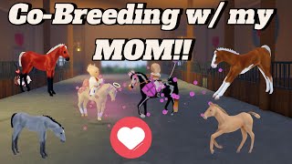Co-breeding with my MOM!! | Wild Horse Islands