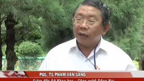 Đề án   Đổi mới căn bản, toàn diện giáo dục và đào tạo