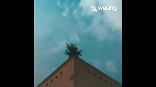 Download Lagu Semakin hari semakin sayang--Zaki/MoAini salem--Dyiana MP3