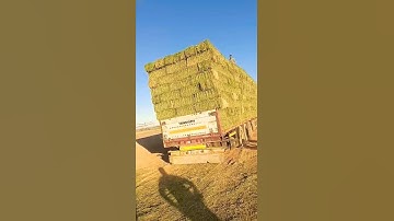 #تلاوة_خاشعة #قرآن للشيخ إسلام صبحي #اكسبلور #ترند #لايك #art