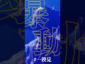 shallm「暴動」(shallm 1st LIVE TOUR "一揆"@CLUB QUATTRO)