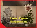 Кухня - Ремонт. Продолжение