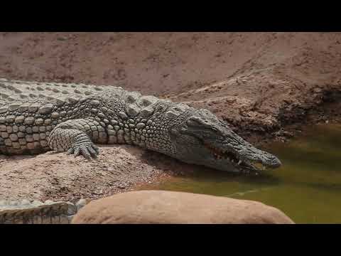 Ana Hna Moroccan Deep House Tribal Music