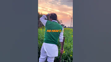 Pind Punjab | New Punjabi Song 2024 | #jorgegill #shorts