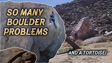 Highballs, First Ascents, and a Tortoise! The Miledi Boulders - Joshua Tree, CA