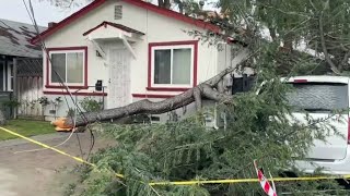 Downed trees, flooding rivers and creeks stress South Bay services