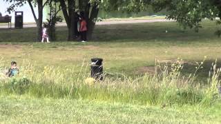 BOLIVIANOS VERANEROS EN LONDRES screenshot 5