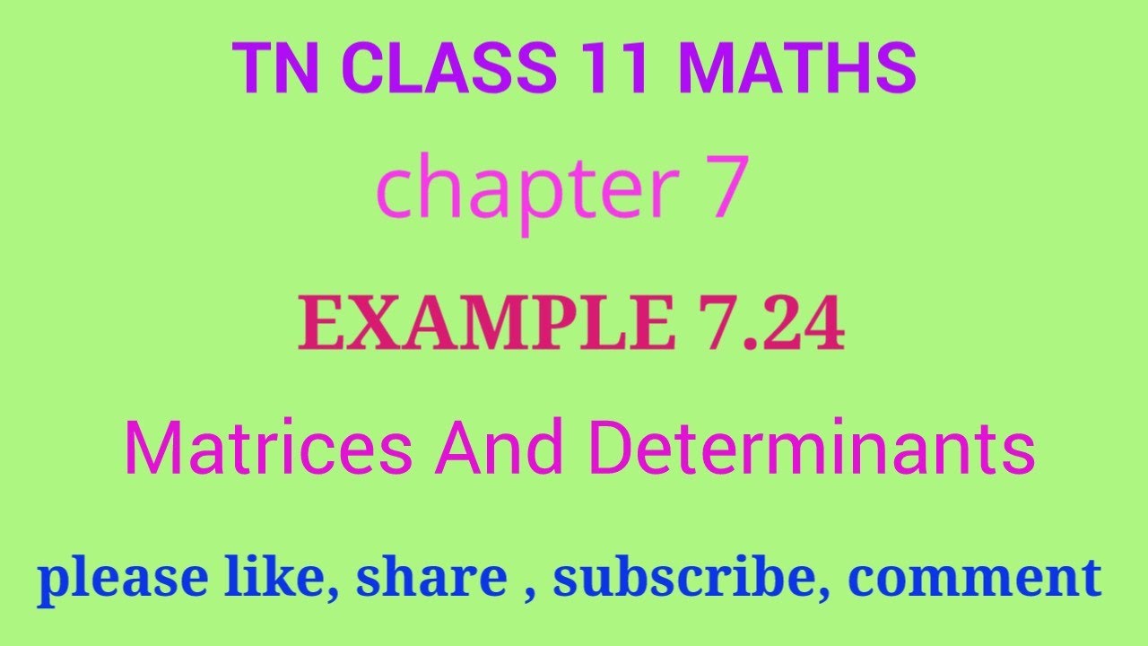 TN 11 maths | chapter 7 | example 7.24 | matrices and determinants ...