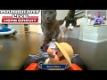 😼 CATS VS 150cc! Mario Kart Live Home Circuit!