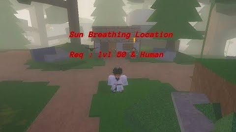 Sun Breathing Location ( Tanjiro ) | Slayers Unleashed