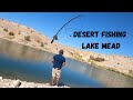 Fishing in the Desert?! 1st Time Bass Fishing at Lake Mead