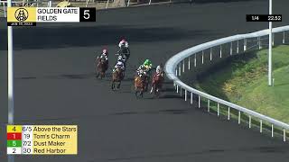 Vidéo de la course PMU MAIDEN CLAIMING