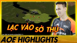 VÔ TÌNH LẠC VÀO LONG MẠCH - Chim Sẻ khiến Minoan cũng phải KHÓC THÉT | AoE Highlights