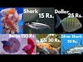 Fish Price of Pari Aquarium Fish Shop