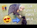 OUR PUPPY'S FIRST WALK & CONSIDERING OUR NEXT PET?!