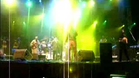 Seun Kuti & Egypt 80 - Sziget