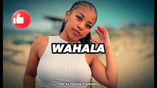 Video-Miniaturansicht von „[FREE] AMAPIANO TYPE BEAT Instrumental 2024 "WAHALA"  | Afrobeat Type Beat“