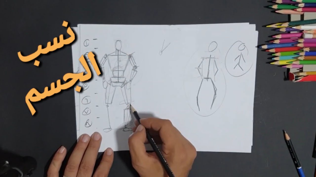 نسب الجسم قدرات فنون تطبيقية الجزء الثاني/محمد عصام