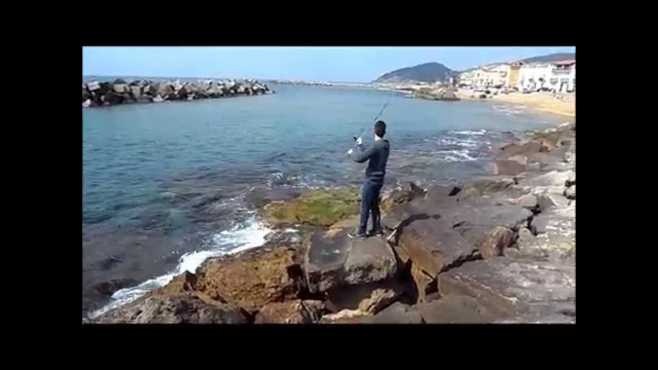 Saraghi,Orate e Spigole dagli scogli - Pescarenet.com ...