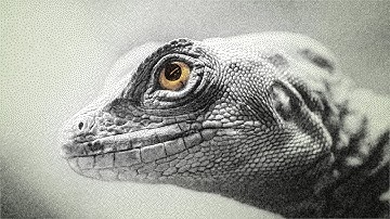 Lizard • Stippling Generative Art