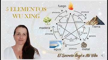 ✨Los 5 Elementos Wu Xing