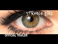 Regarder Strange Bird 2017 en Streaming Complet VF