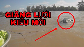 GIĂNG LƯỚI CÁ phong cách lạc trôi|bắt cá mùa nước lũ|catch fish in flood season
