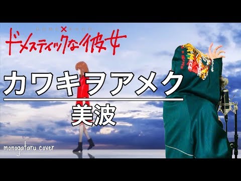 カワキヲアメク - 美波 (cover)