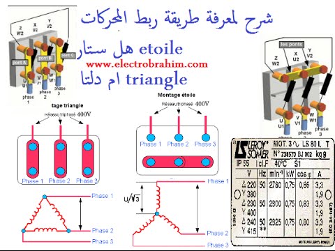 فيديو: كيفية مشاركة محرك محلي