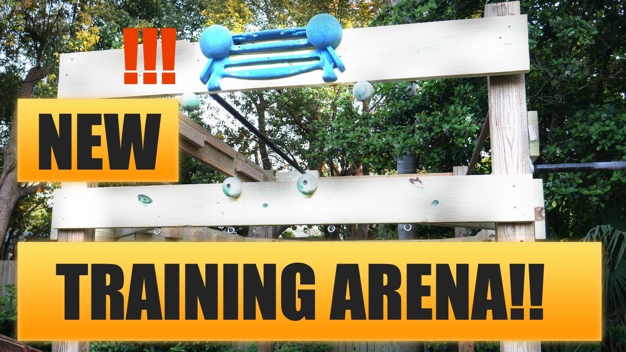 Training Arena Intro YouTube