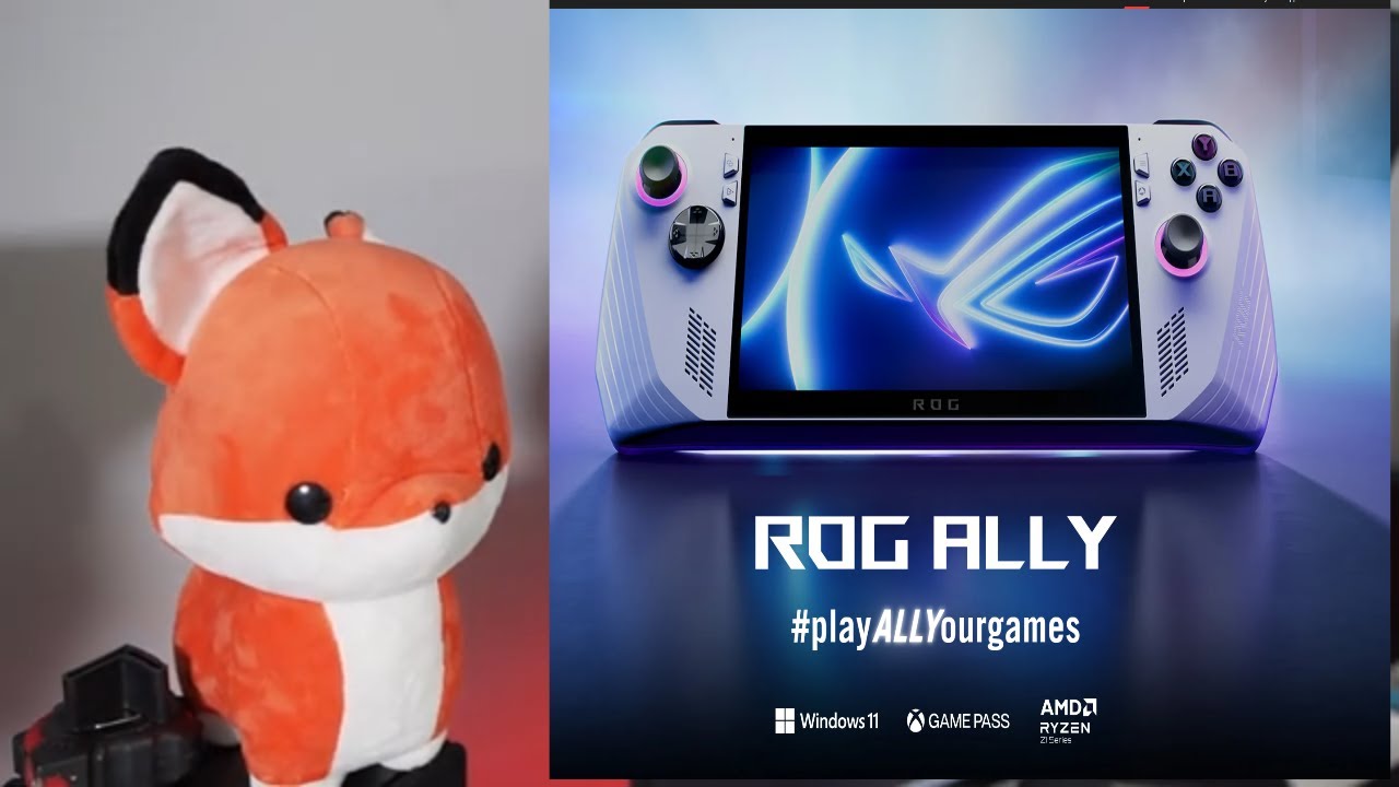 ASUS ROG ALLY Carry Case - YouTube