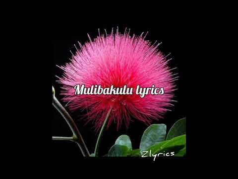 Mulibakulu Lyrics By Abel Chungu