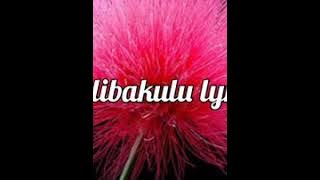Mulibakulu lyrics by Abel Chungu