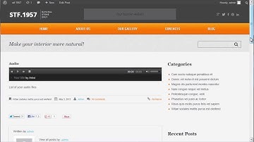 WordPress  Cherry Framework  How To Create Audio Video Post