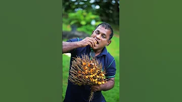 You Ve Never Tasted Fruit Like This Before 