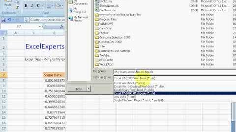 ExcelExperts.com - Excel Tips - Why Is My Excel File So Big ?