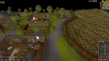 Who to speak next to RAIN COVE Osrs