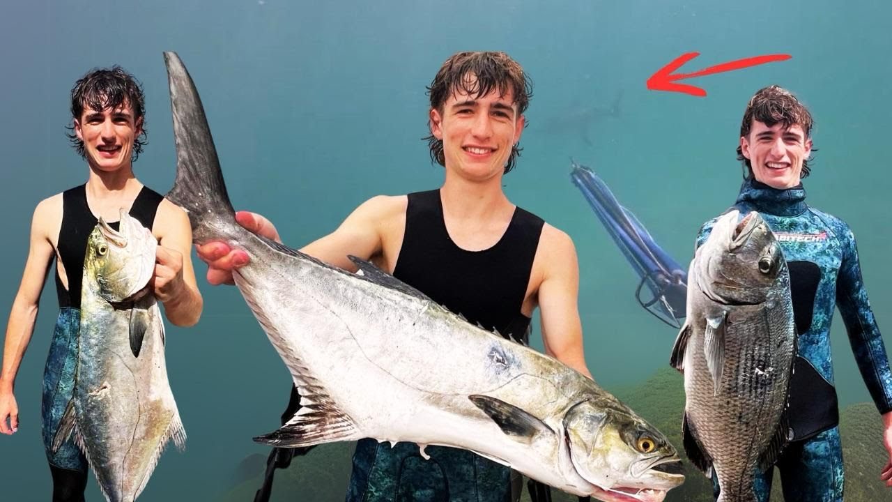 The Dream Fish! - Spearfishing South Africa