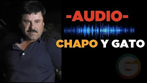 El Chapo y El Gato hablan sobre la AFI  #JuicioChapo