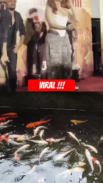 DI INDIA O MERE SANAM VIRAL TIKTOK BIKIN CANDU FULL BASS TERBARU 2023